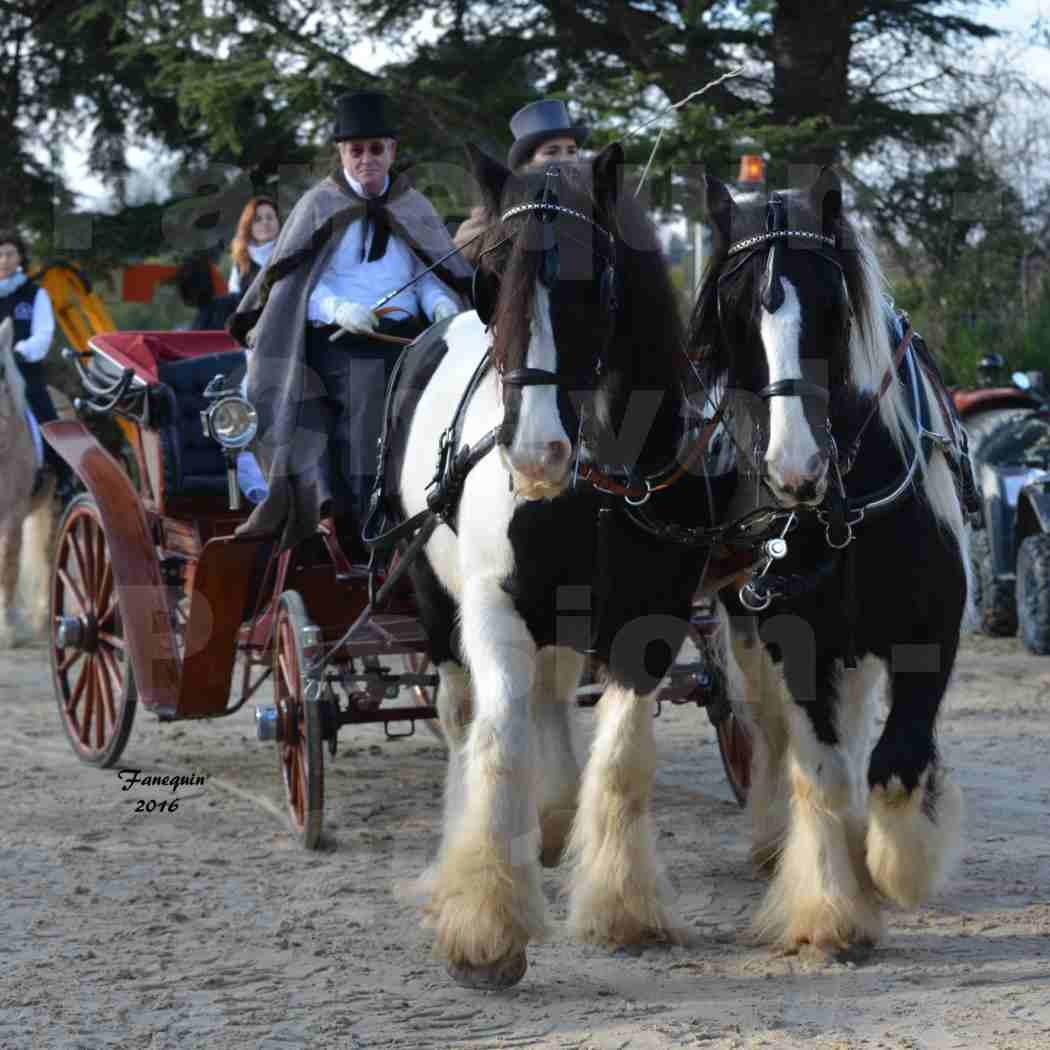 Cheval Passion 2016 - IRISH COB - Attelage en paire - 5