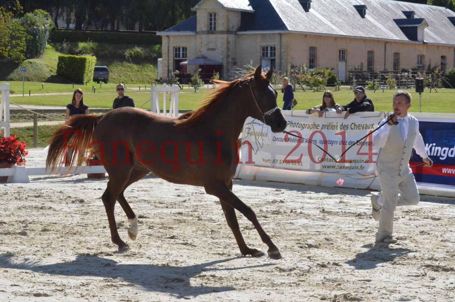 Championnat de FRANCE 2014 - Amateurs - LAMAL - 37