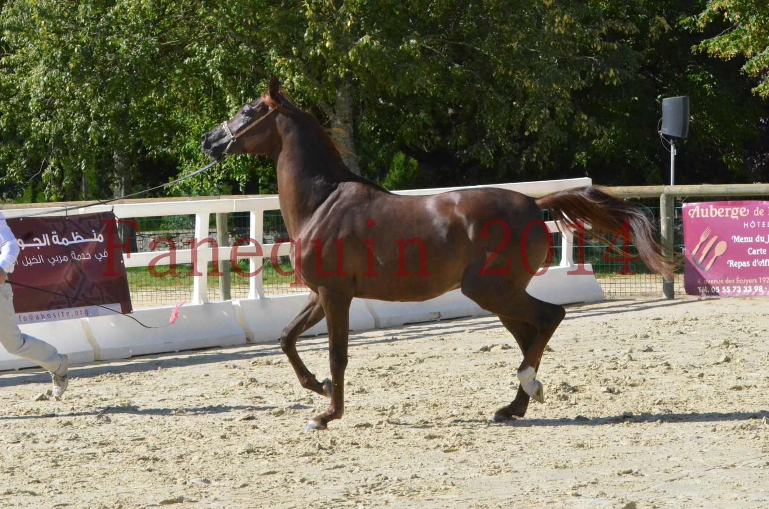 Championnat de FRANCE 2014 - Amateurs - LAMAL - 45