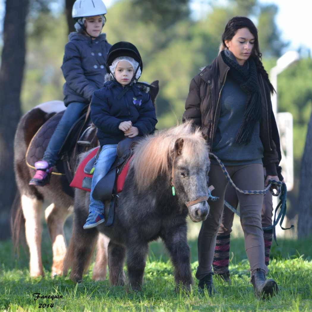 Marchés de Noël 2014 - Promenades en Poneys à Pignan - 20