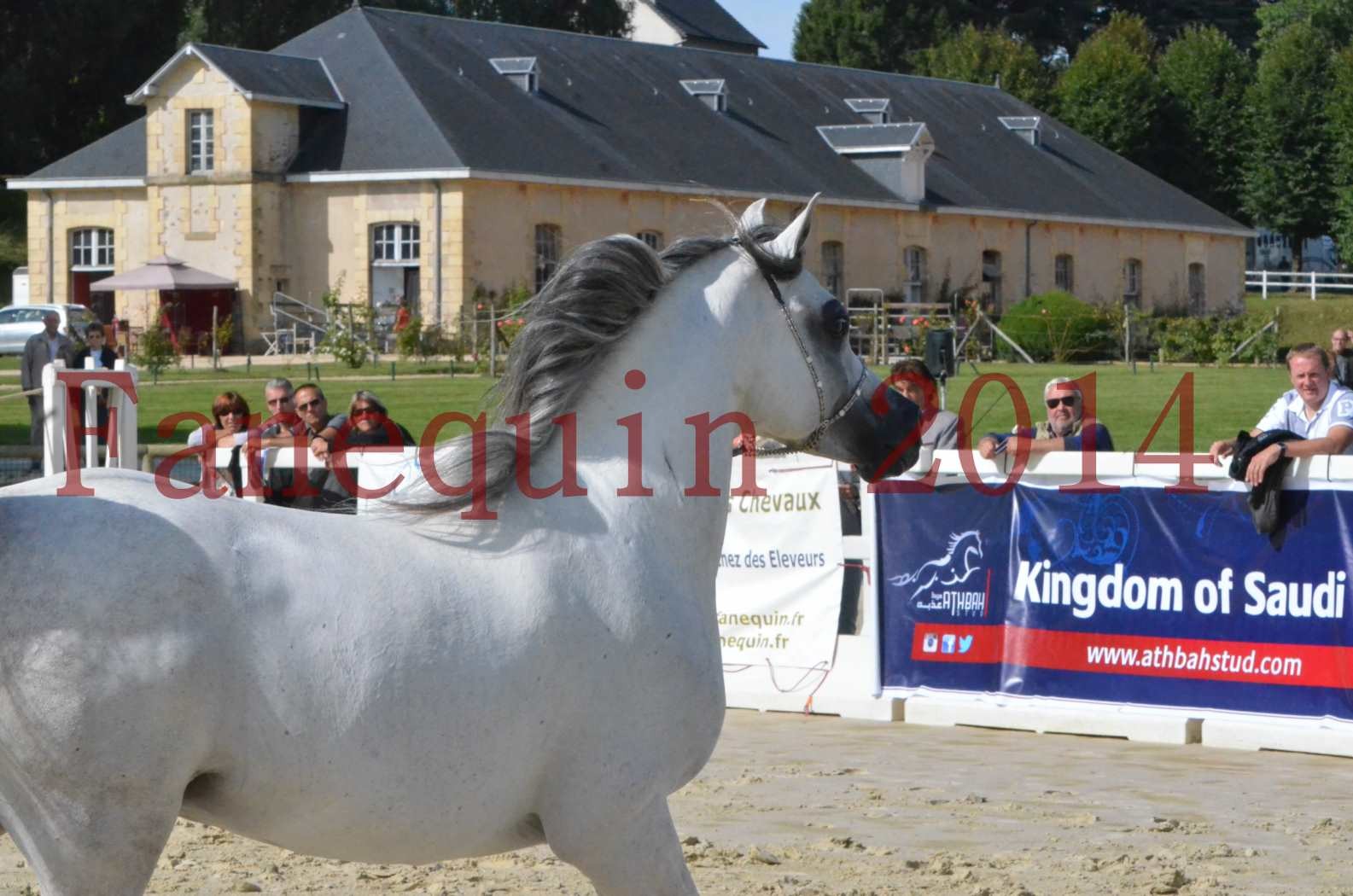 CHAMPIONNAT DE FRANCE  2014 A POMPADOUR - Sélection - SHAOLIN DE NEDJAIA - 48