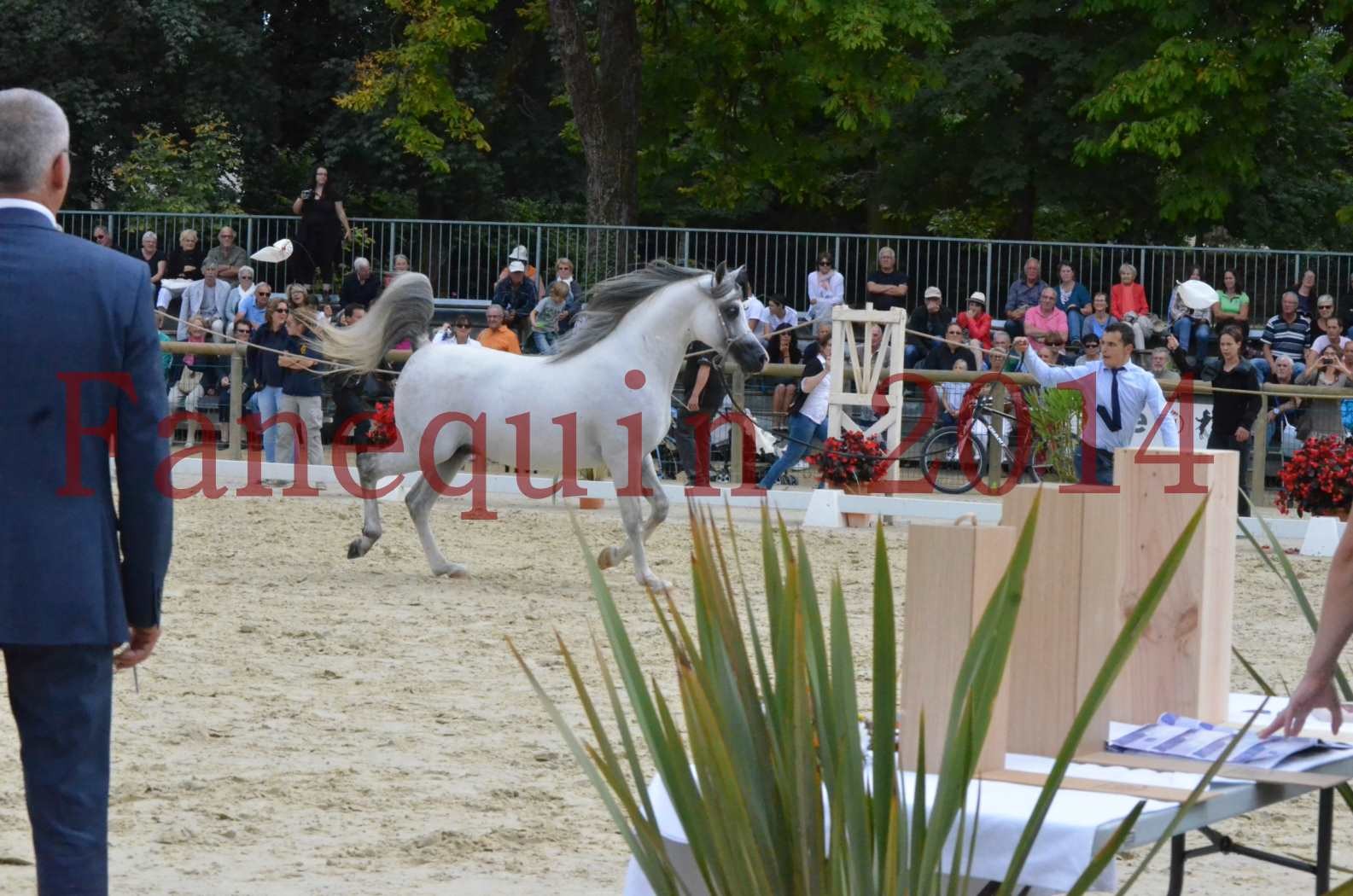 CHAMPIONNAT DE FRANCE  2014 A POMPADOUR - Championnat - SHAOLIN DE NEDJAIA - 01