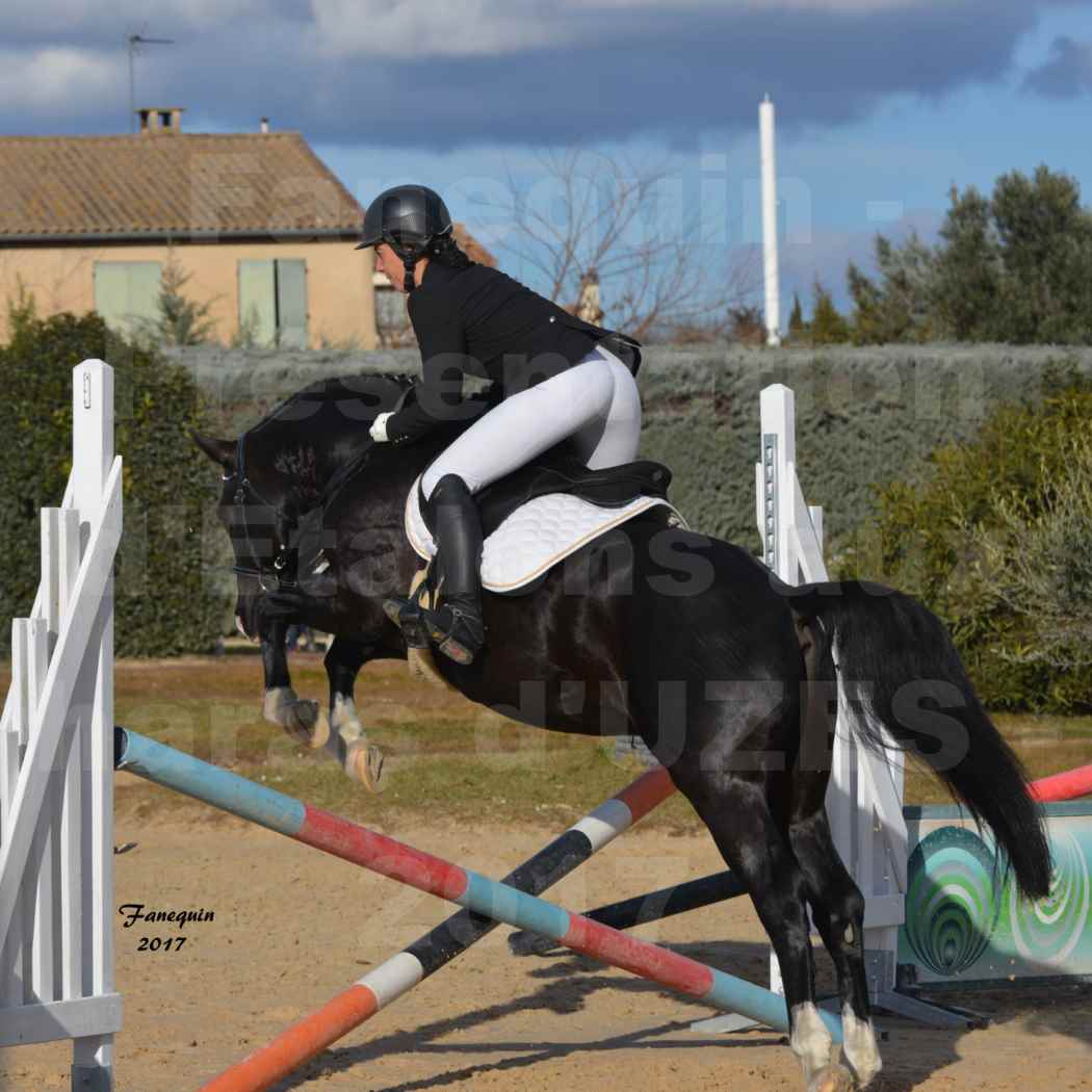 Présentation d’Étalons aux Haras d'UZES - Présentation  monté - VOLUPTO DES BOURDONS - 4