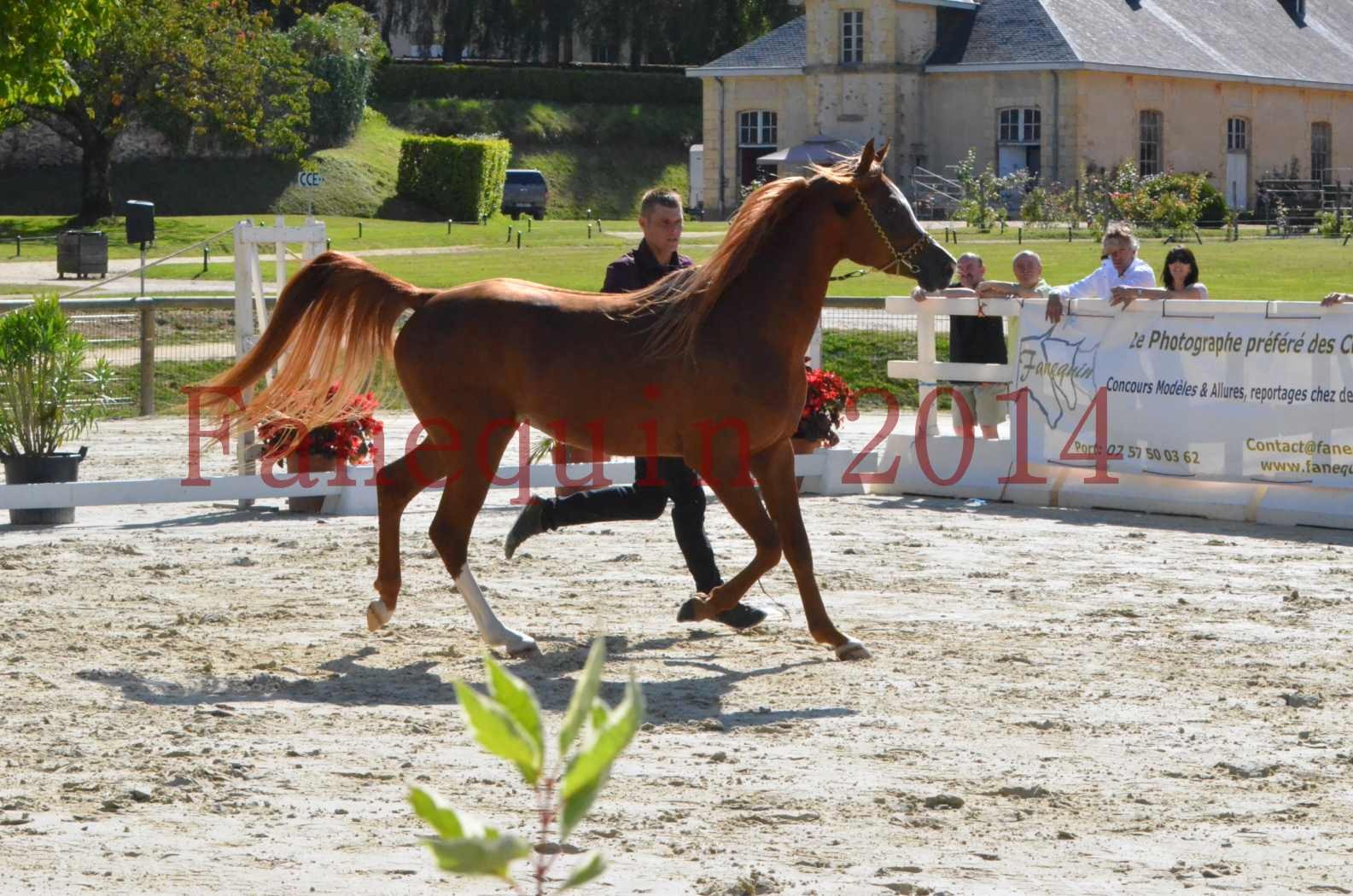 Championnat de FRANCE 2014 - Amateurs - SELECTO IBN SAMAWI - 005