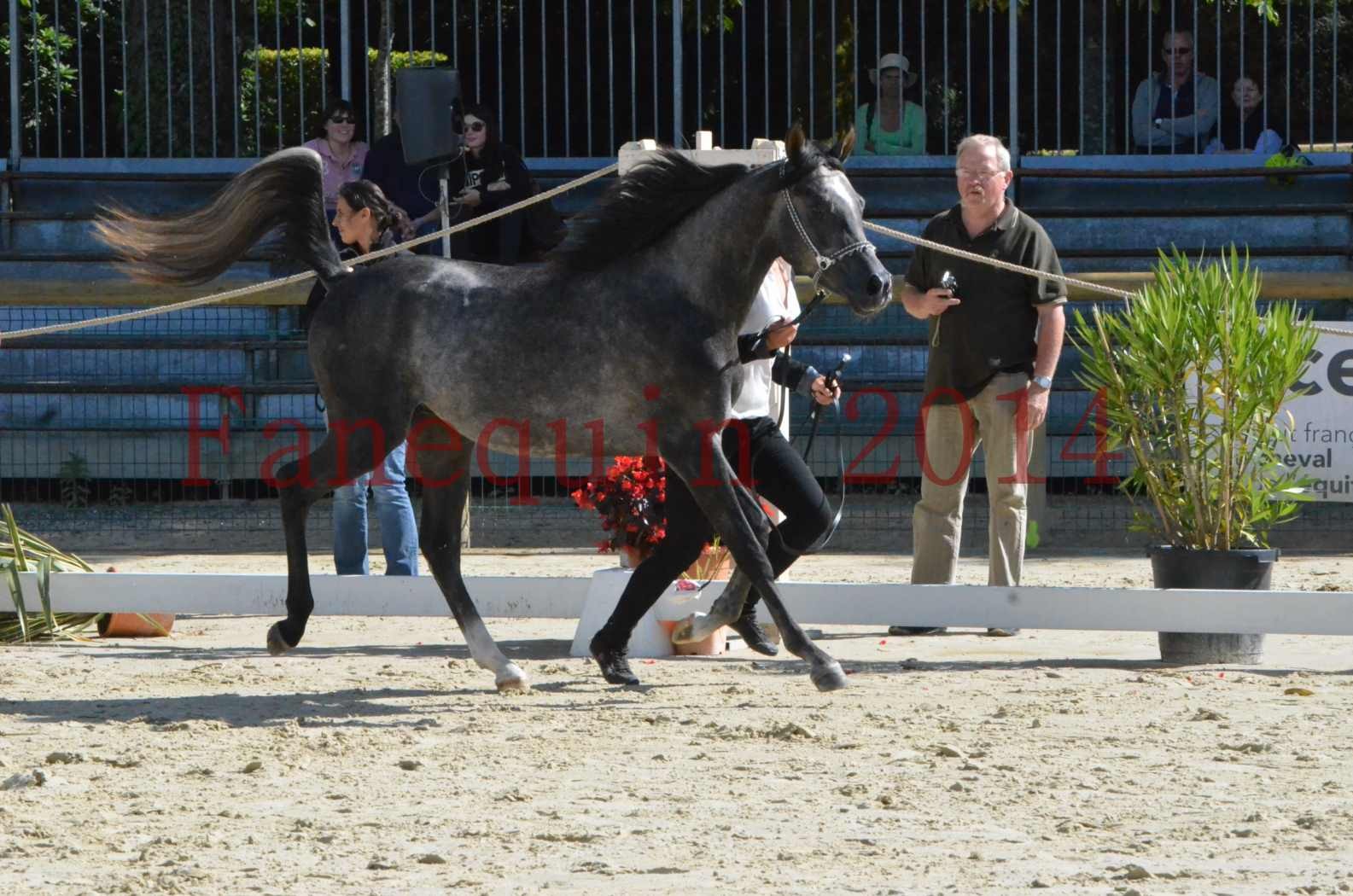 Championnat de FRANCE 2014 - Amateurs - CHTI KAID D'AUBIN - 04