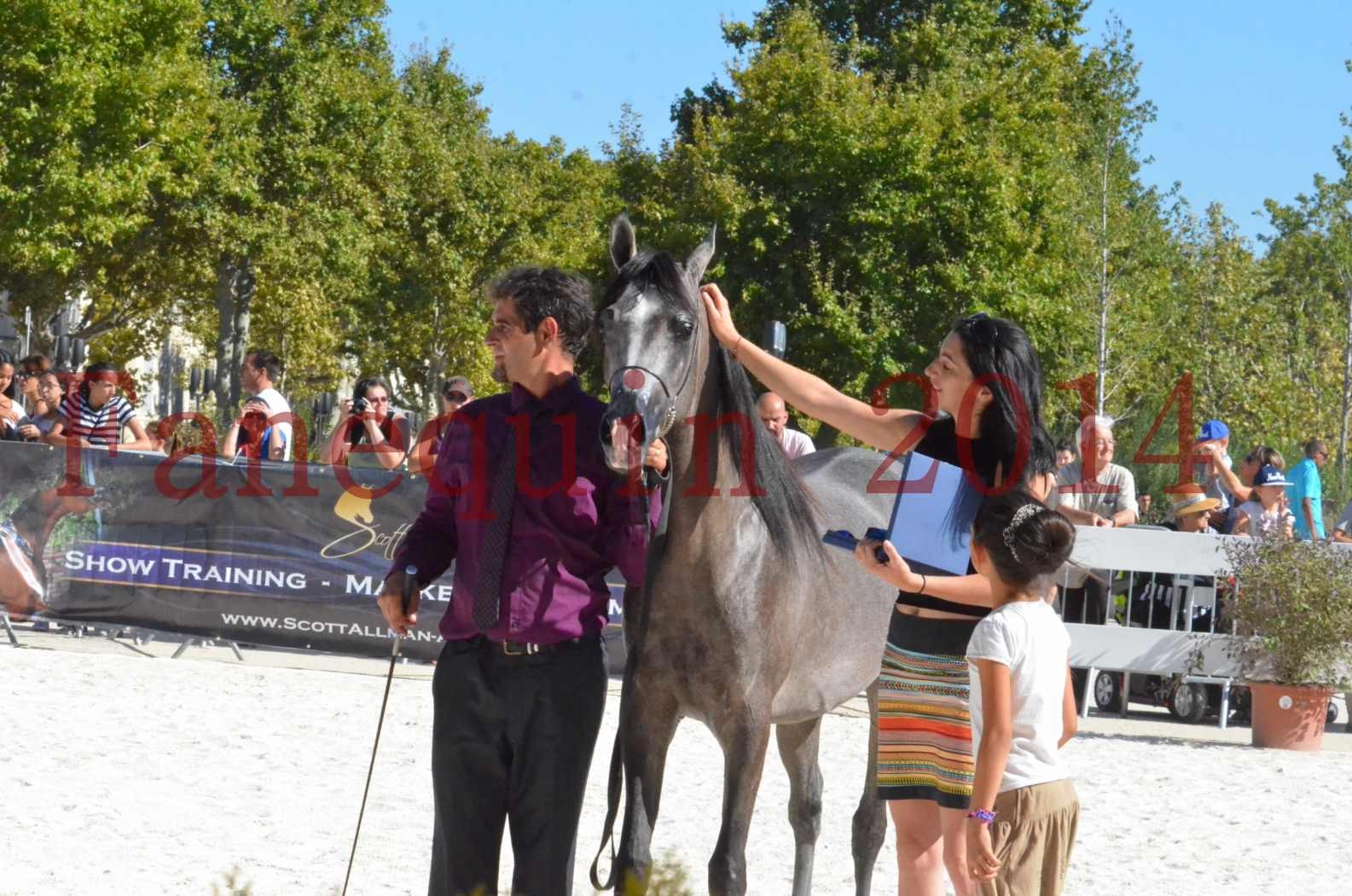 Concours National de Nîmes de chevaux ARABES 2014 - Championnat - JOSEPH'S BOUZIOLS - S 21