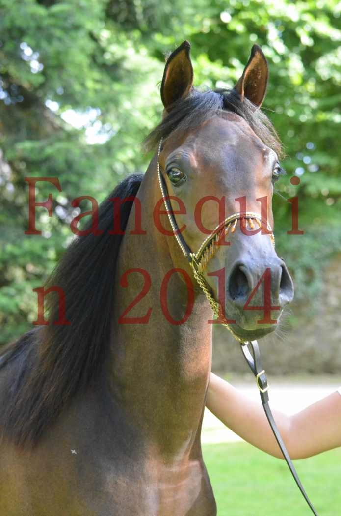 Championnat de FRANCE 2014 - Amateurs - SH FARAJAA - 101