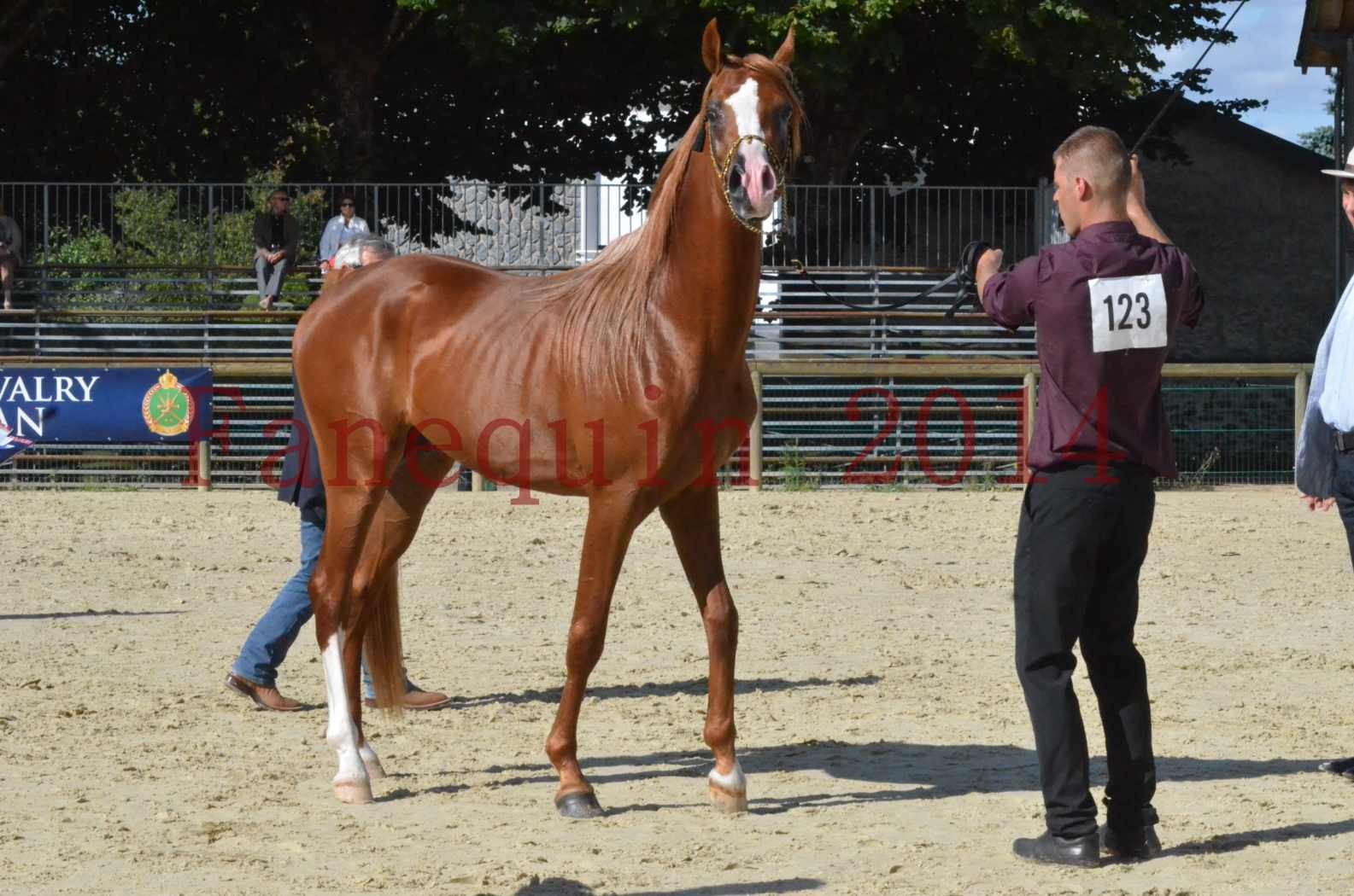 Championnat de FRANCE 2014 - Amateurs - SELECTO IBN SAMAWI - 066