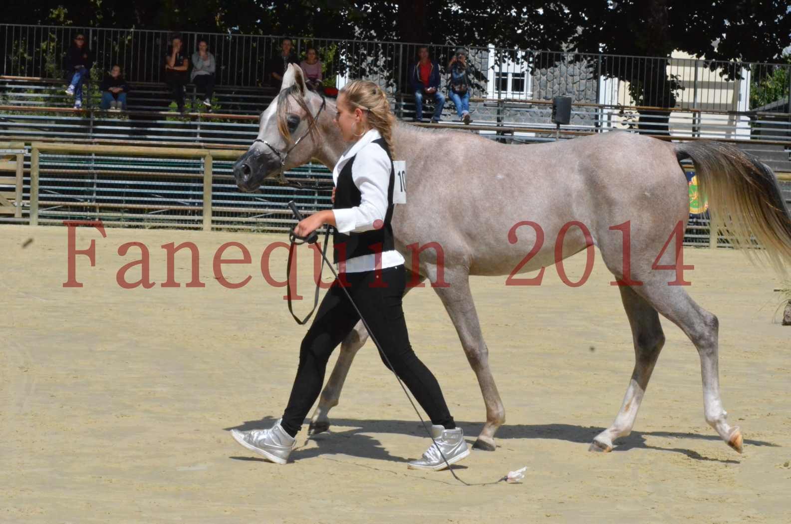 Championnat de FRANCE 2014 - Amateurs - SANA ISHANE - 47