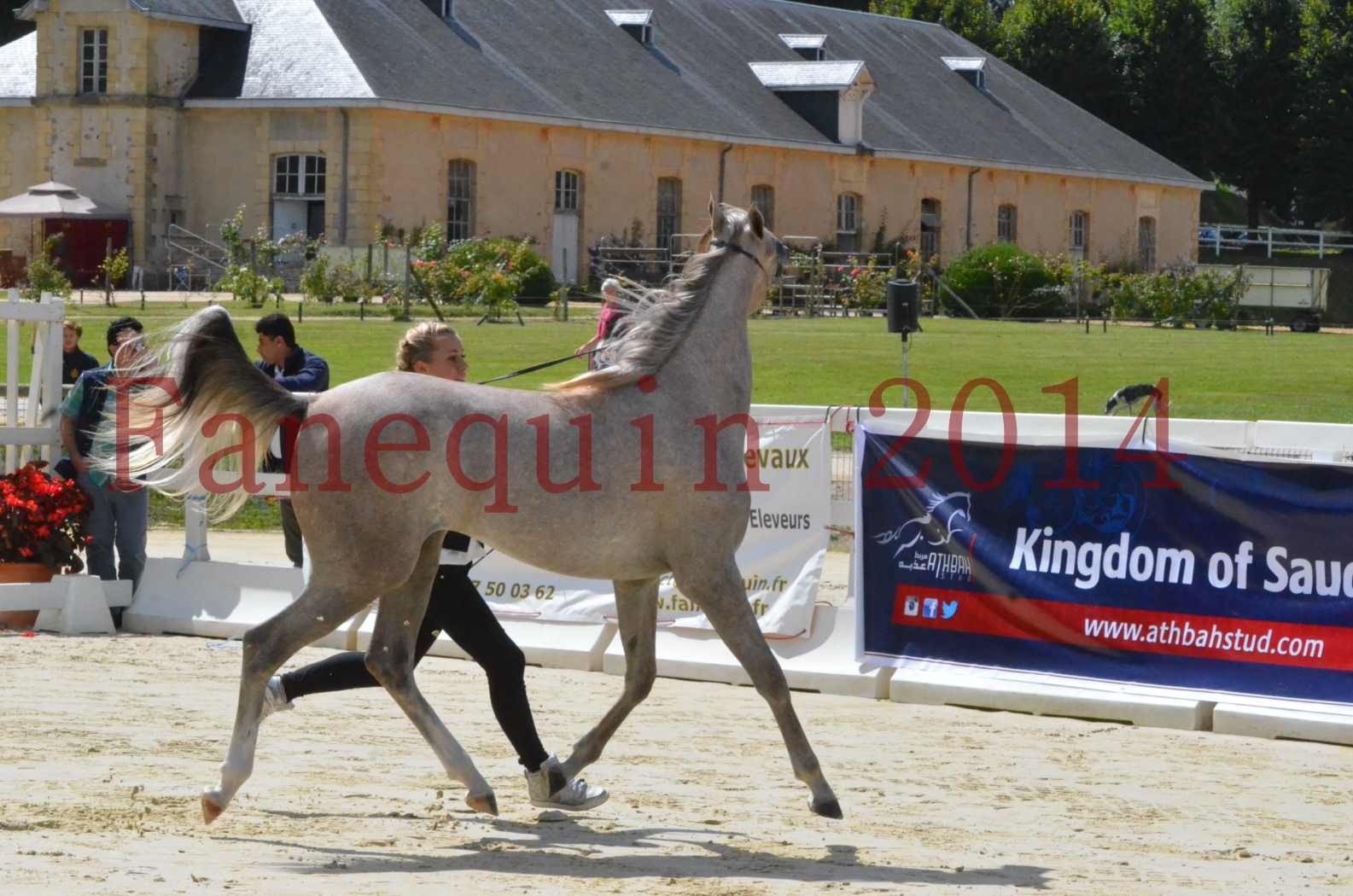 Championnat de FRANCE 2014 - Amateurs - SANA ISHANE - 13