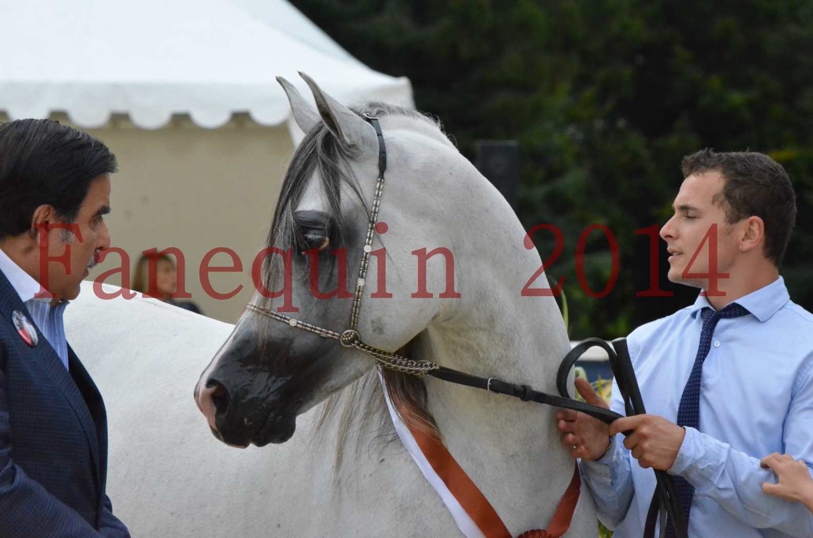 CHAMPIONNAT DE FRANCE  2014 A POMPADOUR - Championnat - SHAOLIN DE NEDJAIA - 31