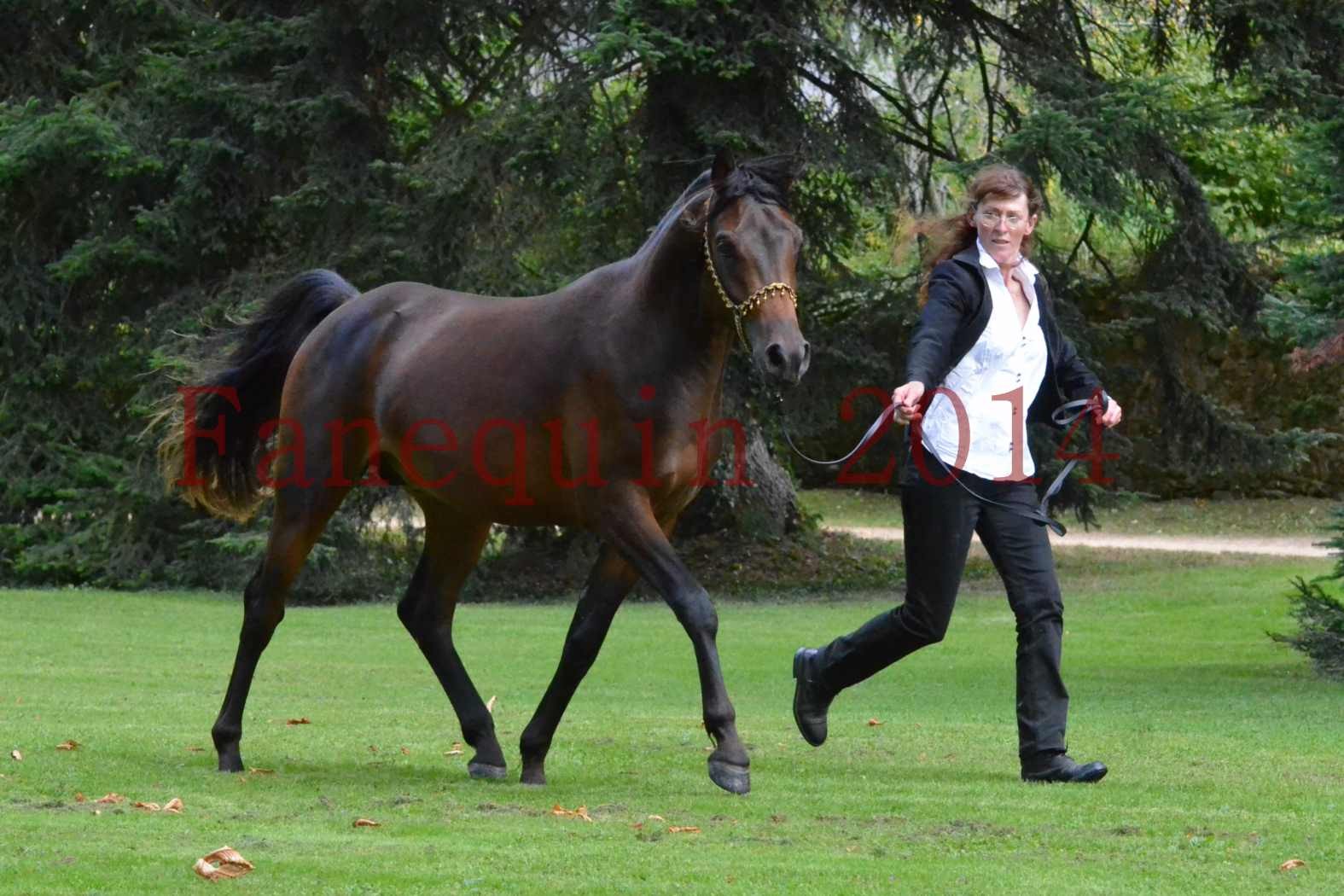 Championnat de FRANCE 2014 - Amateurs - JA KHALEB - 65