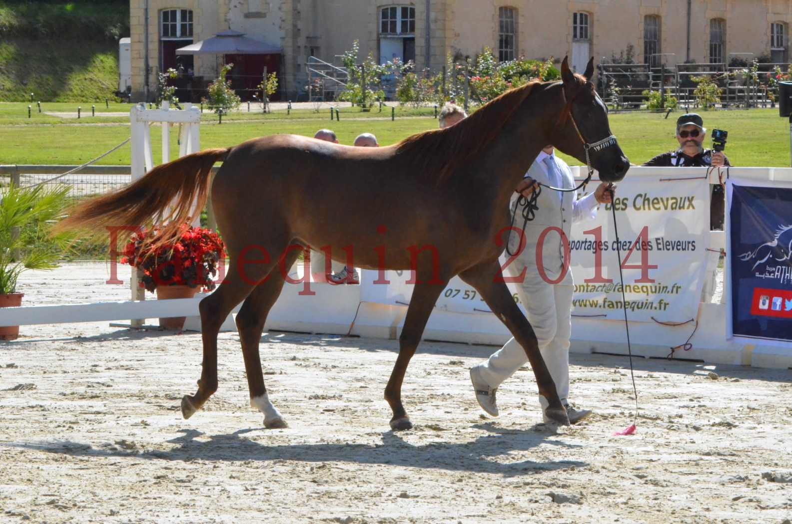 Championnat de FRANCE 2014 - Amateurs - LAMAL - 22