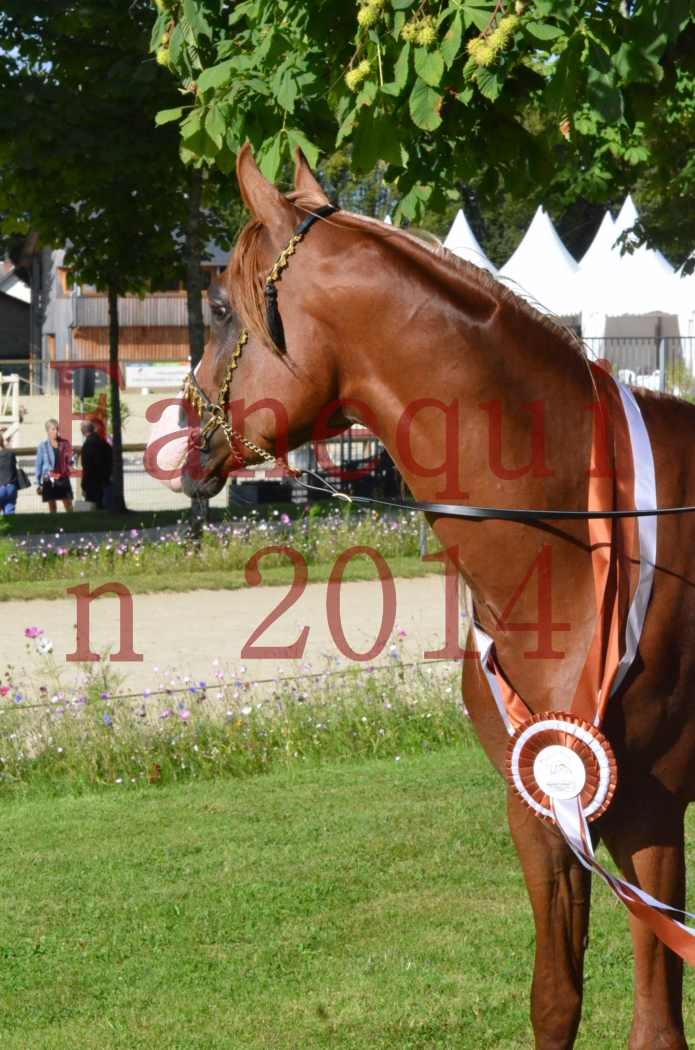 Championnat de FRANCE 2014 - Amateurs - SELECTO IBN SAMAWI - 199