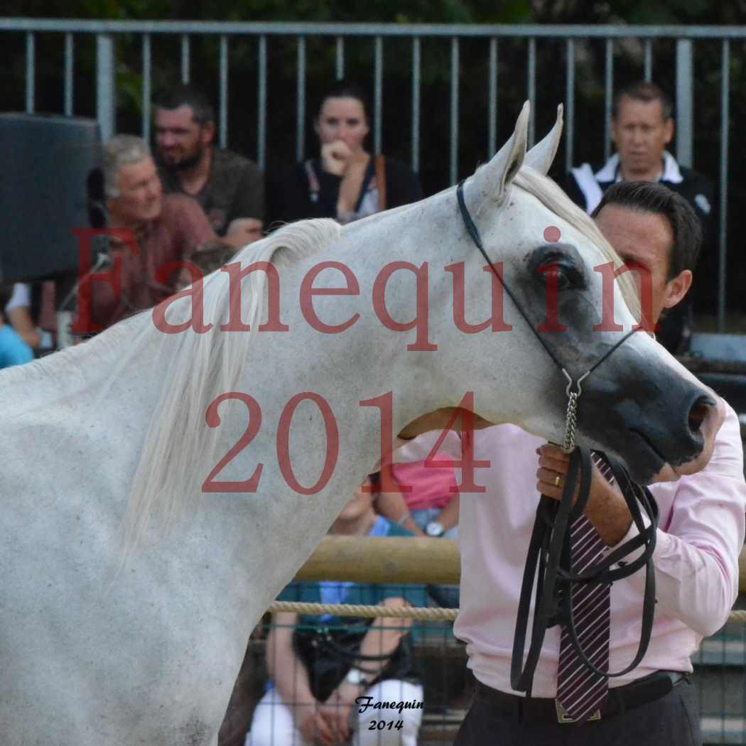 CHAMPIONNAT DE FRANCE 2014 A POMPADOUR - Notre Sélection - FA STARLIGHT - 7