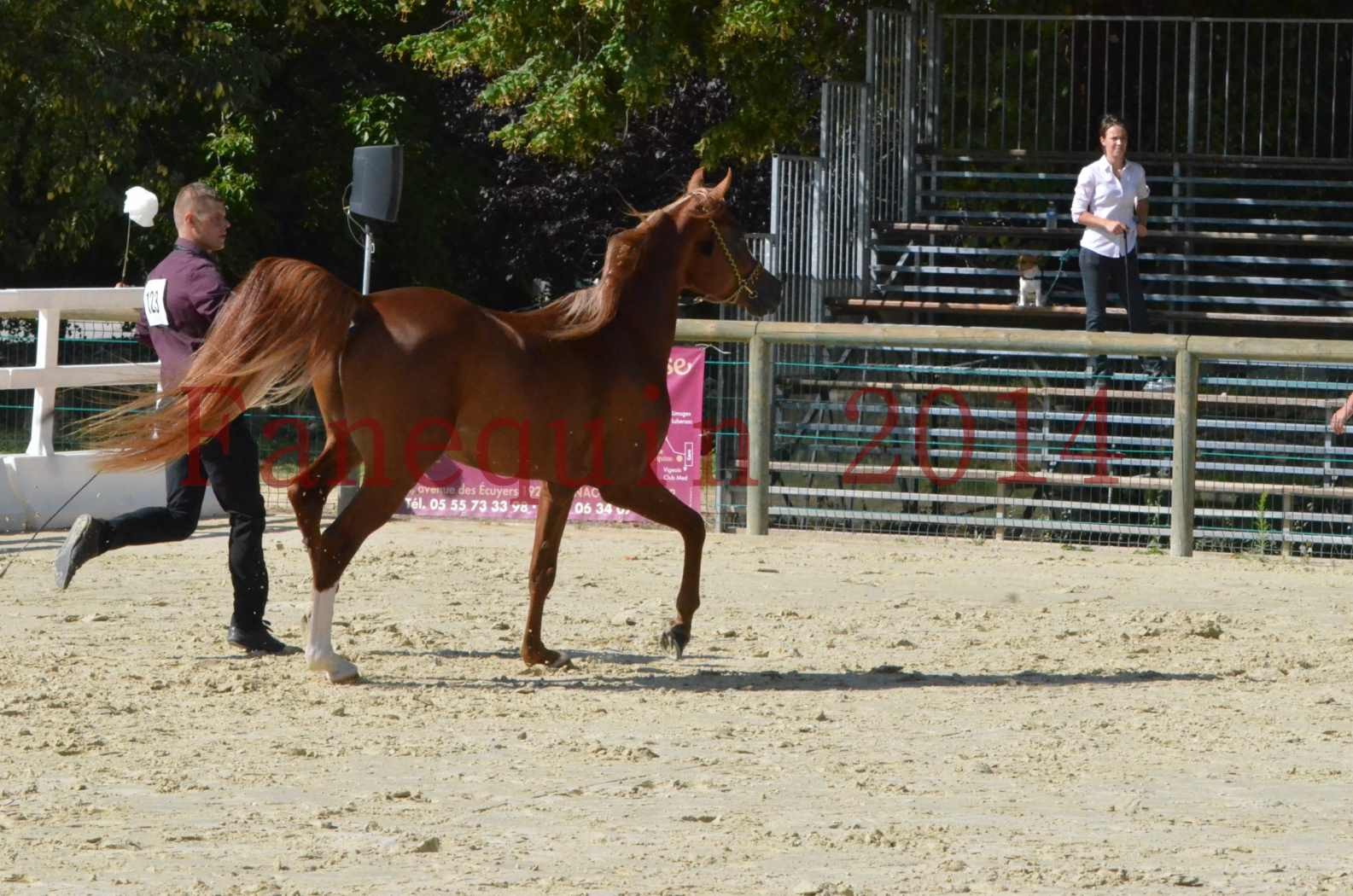 Championnat de FRANCE 2014 - Amateurs - SELECTO IBN SAMAWI - 017