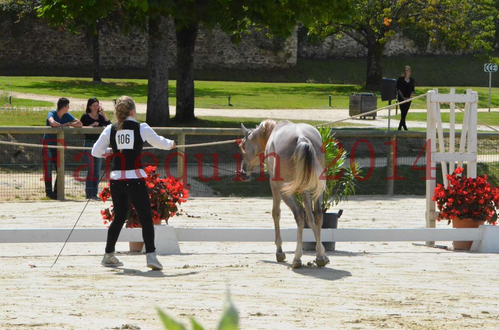 Championnat de FRANCE 2014 - Amateurs - SANA ISHANE - 37