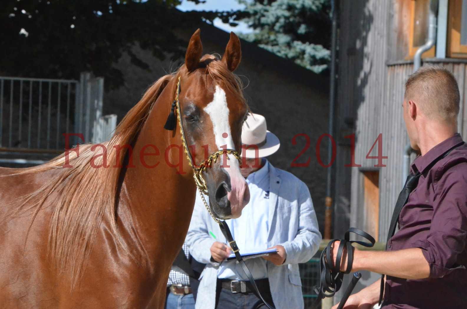 Championnat de FRANCE 2014 - Amateurs - SELECTO IBN SAMAWI - 076