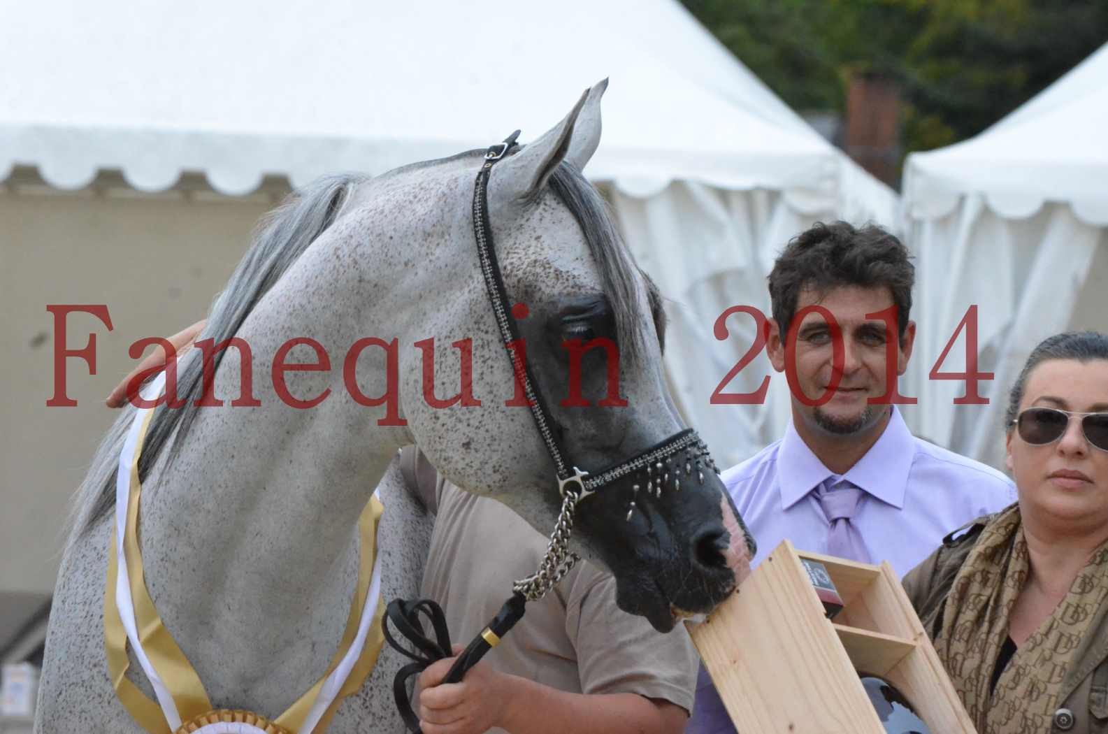 CHAMPIONNAT DE FRANCE  2014 A POMPADOUR - Championnat - SHEYK DE GARGASSAN - 28