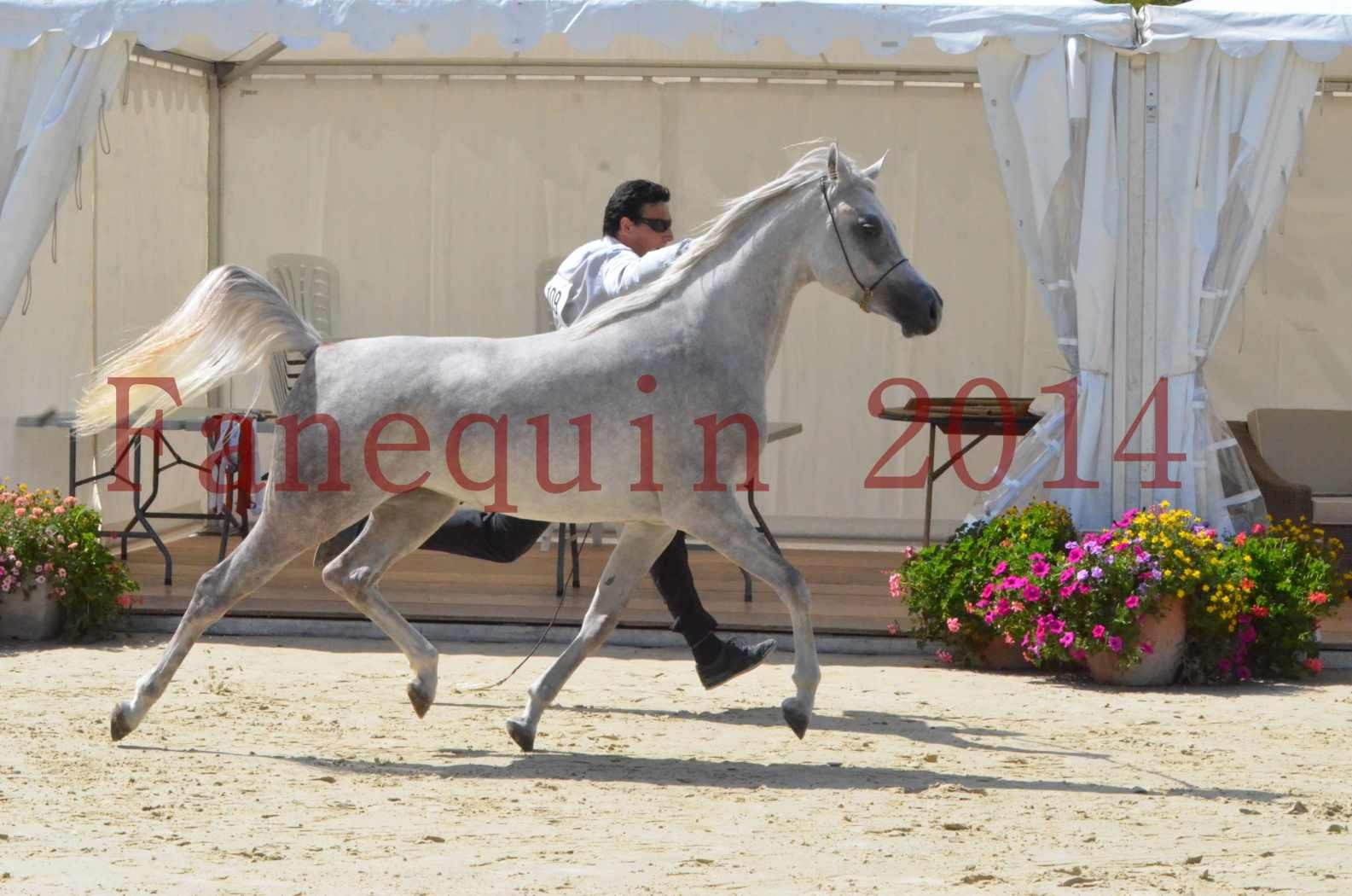 Championnat de FRANCE 2014 - Amateurs - VOLODIA DE LAFON - 029