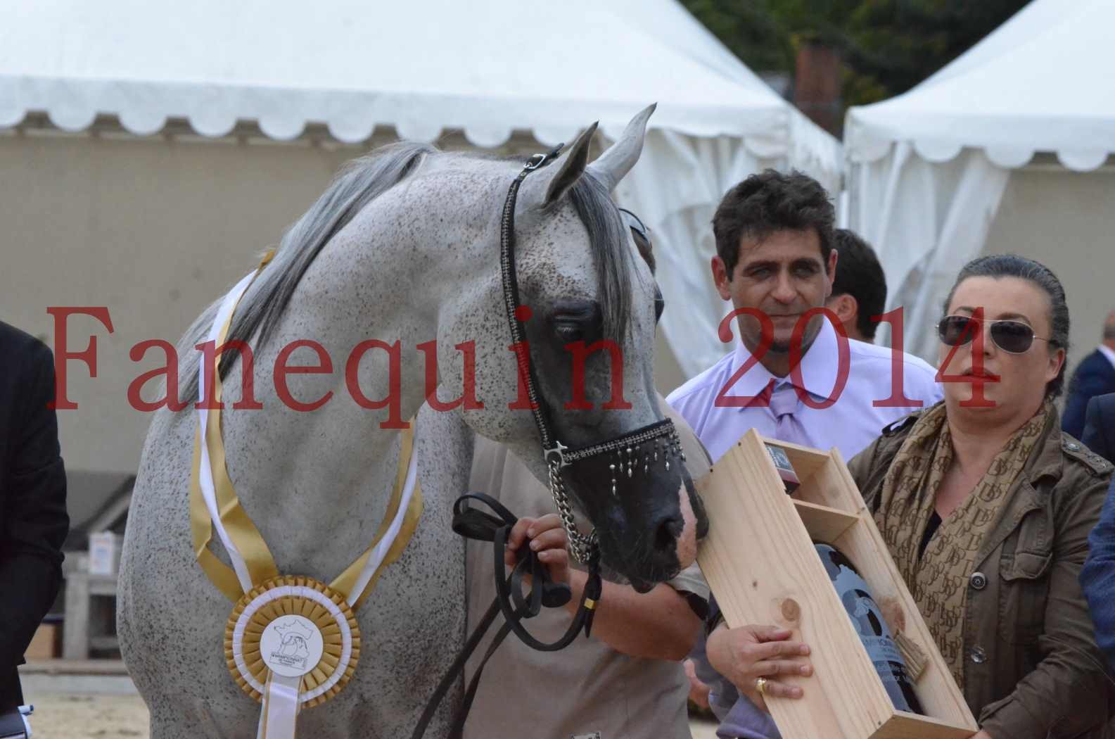 CHAMPIONNAT DE FRANCE  2014 A POMPADOUR - Championnat - SHEYK DE GARGASSAN - 26