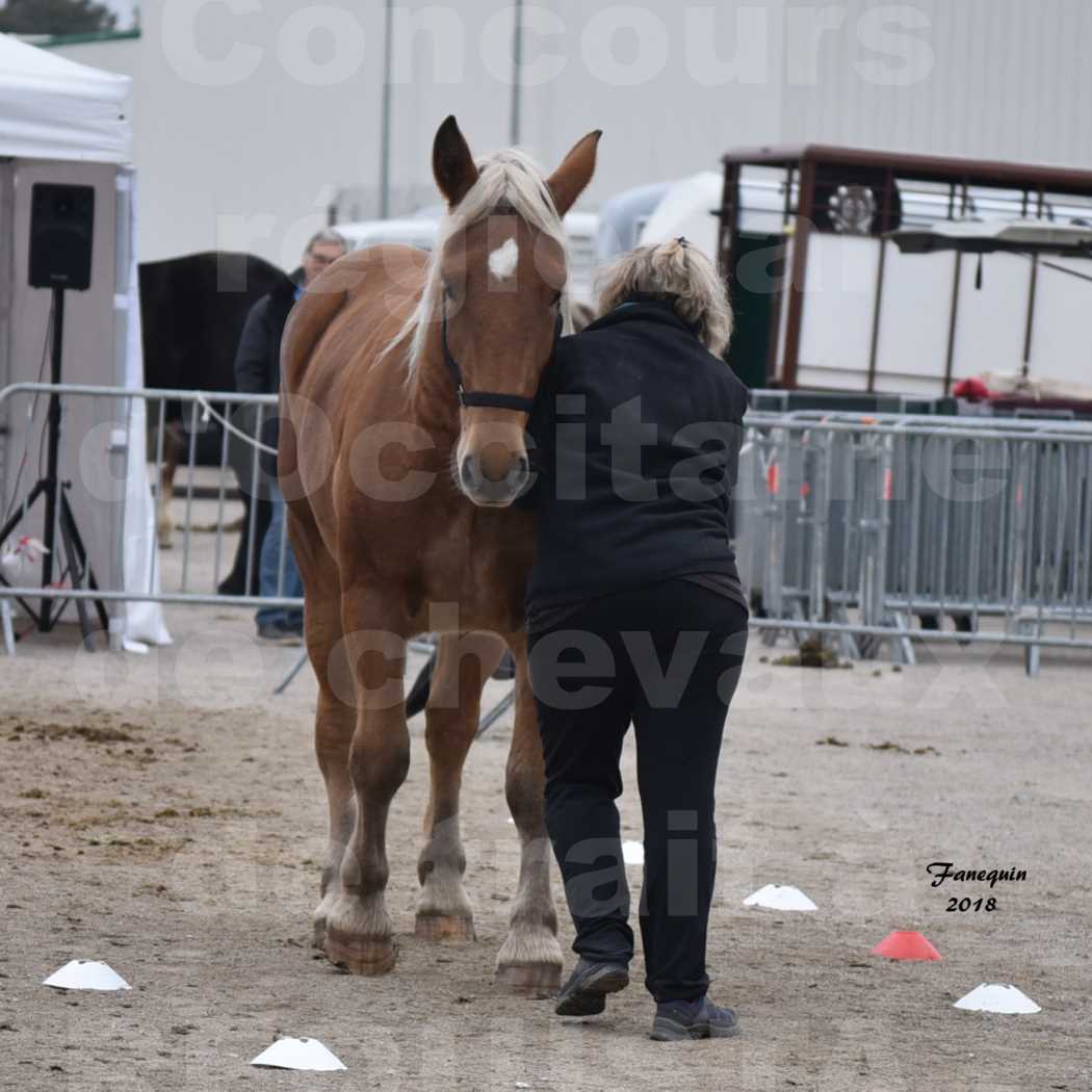 Concours Régional "OCCITANIE" de Chevaux de Traits à REQUISTA en 2018 - Concours Label Loisirs - GASPARINE 3 - 1