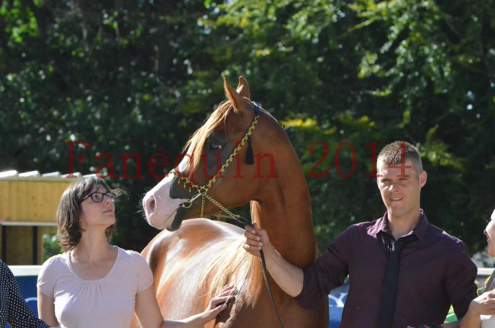 Championnat de FRANCE 2014 - Amateurs - SELECTO IBN SAMAWI - 086