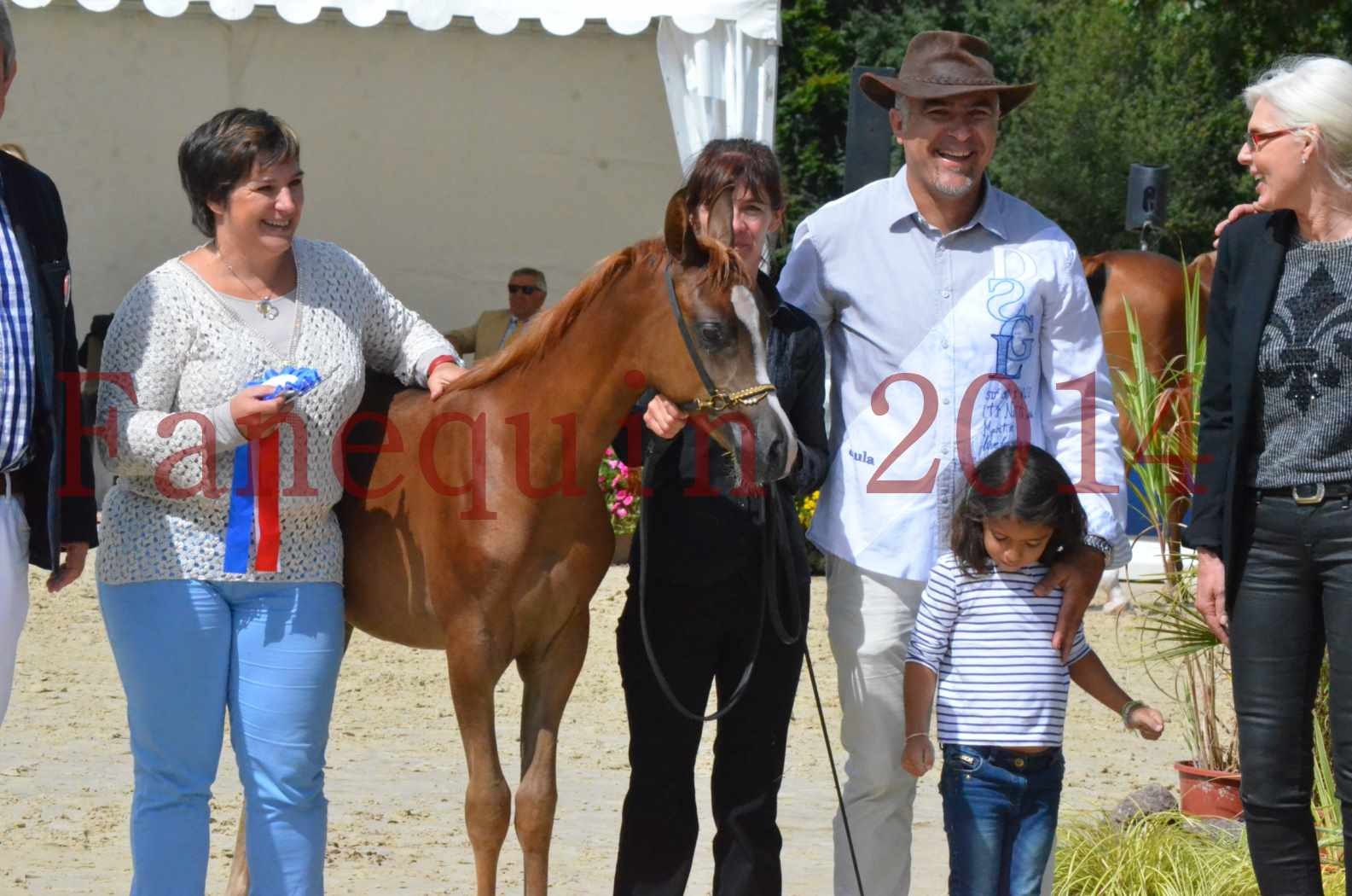 CHAMPIONNAT DE FRANCE 2014 A POMPADOUR - Championnat - TSAR KENZA - 95