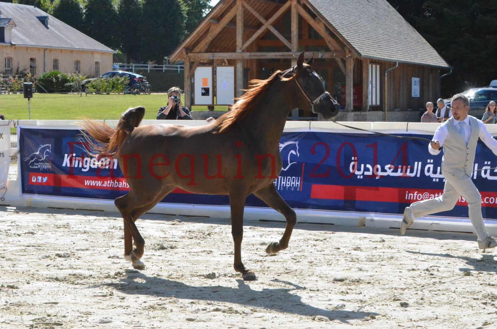 Championnat de FRANCE 2014 - Amateurs - LAMAL - 08