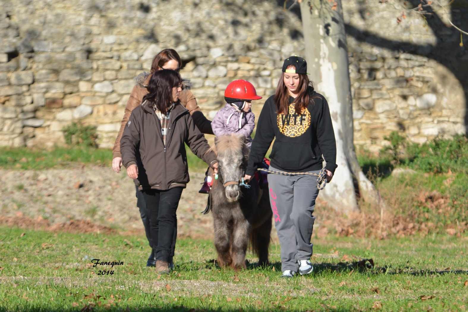 Marchés de Noël 2014 - Promenades en Poneys à Pignan - 04