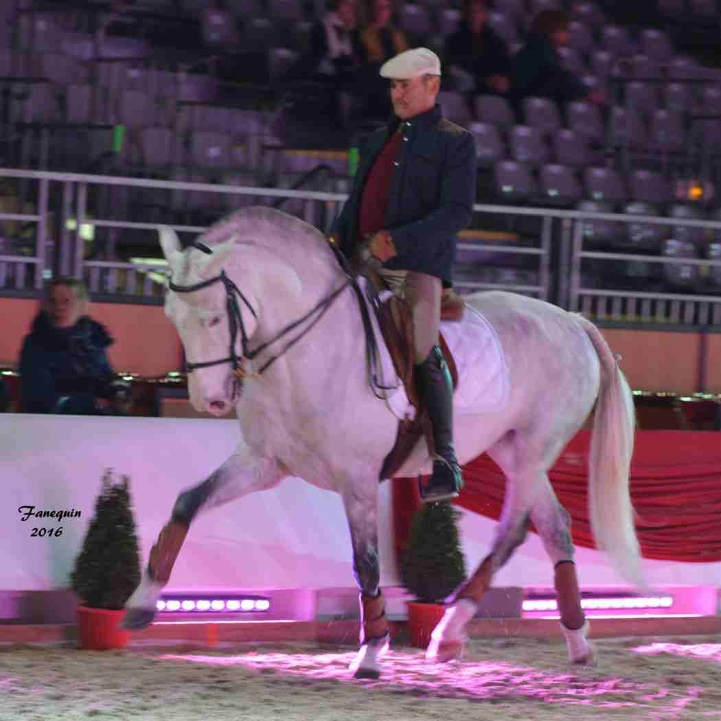 Cheval Passion 2016 - Présentation des LUSITANIENS - Ecurie de Max VENDRELL & Corinne BOUCHITTE - 17