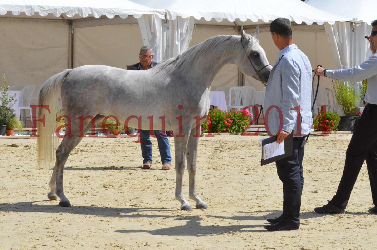 Championnat de FRANCE 2014 - Amateurs - VOLODIA DE LAFON - 065