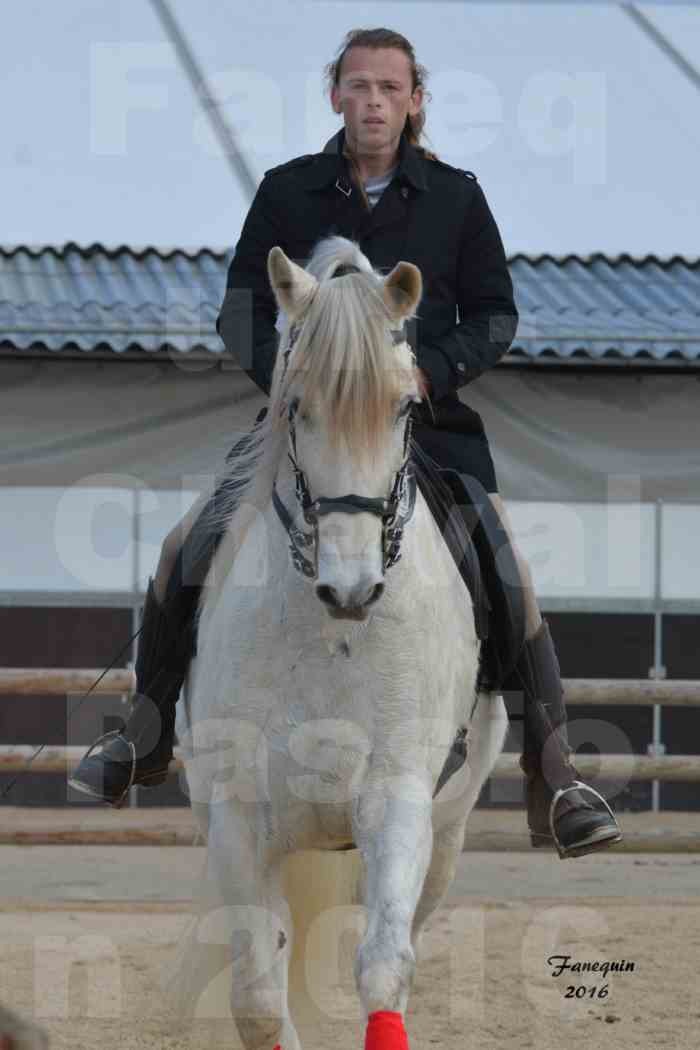 Cheval Passion 2016 - Michel RUDDY - 4