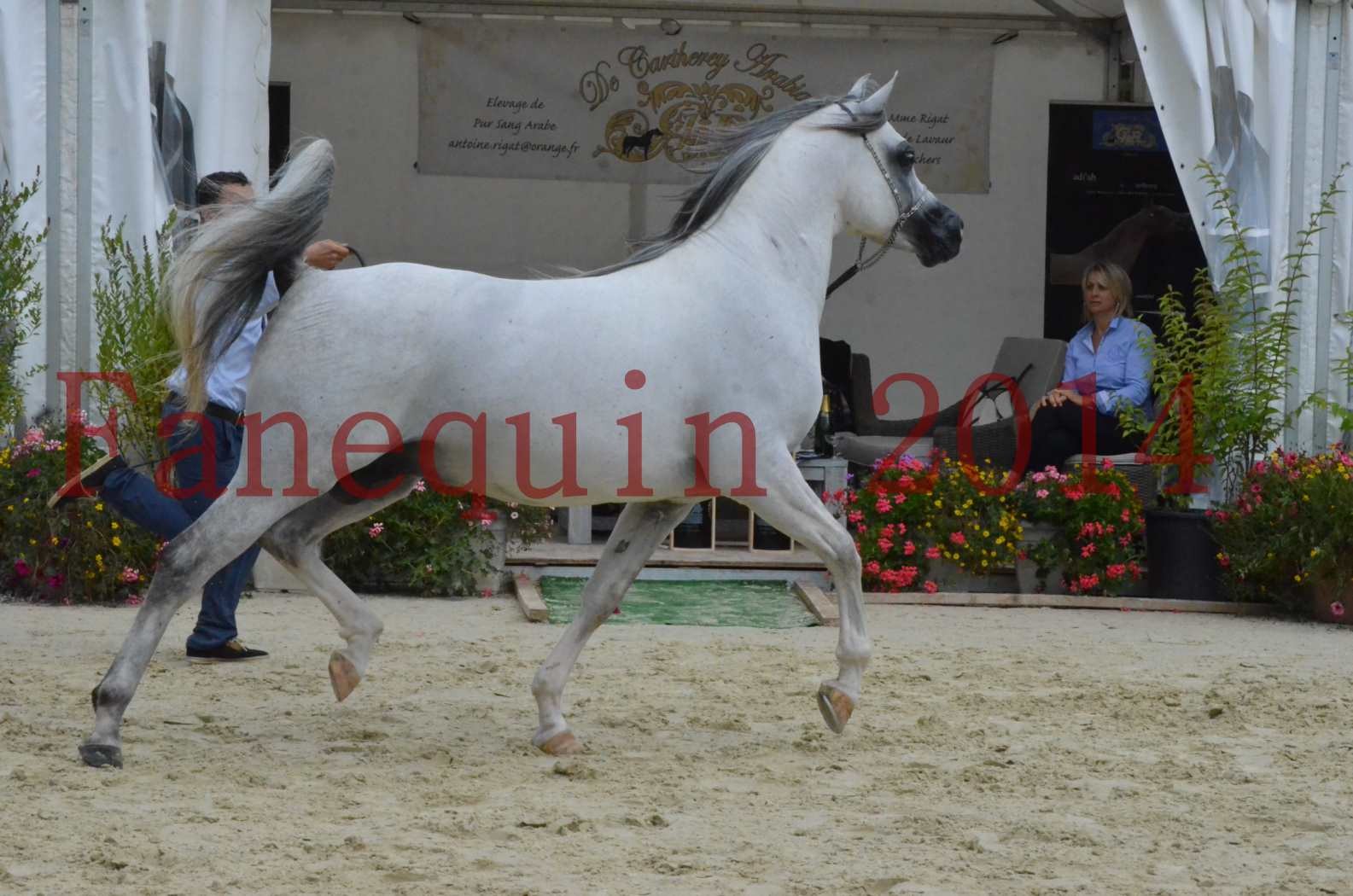 CHAMPIONNAT DE FRANCE  2014 A POMPADOUR - Championnat - SHAOLIN DE NEDJAIA - 16