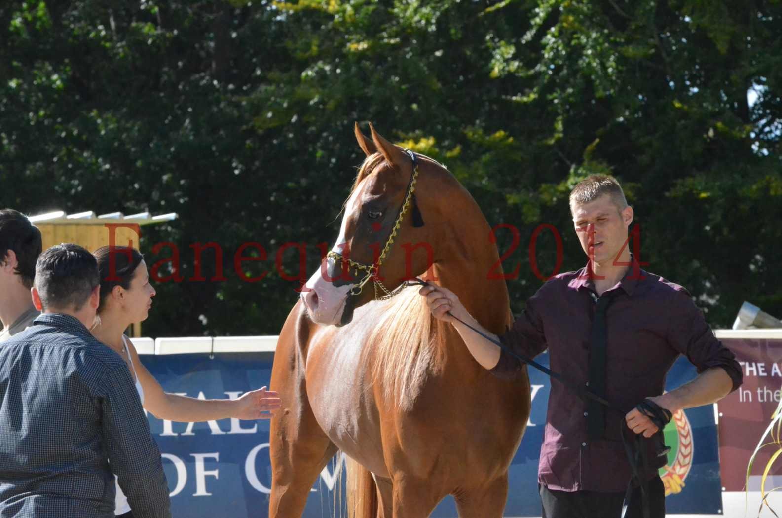 Championnat de FRANCE 2014 - Amateurs - SELECTO IBN SAMAWI - 081