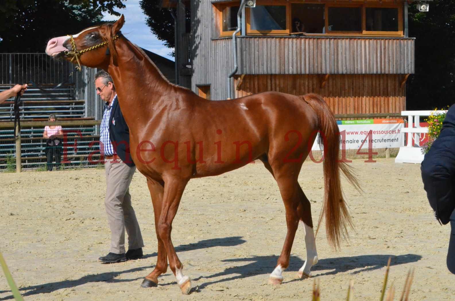 Championnat de FRANCE 2014 - Amateurs - SELECTO IBN SAMAWI - 060