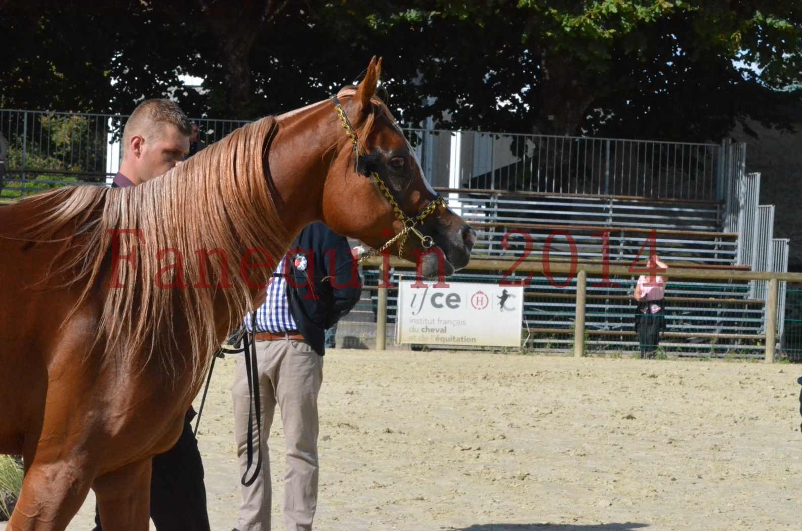 Championnat de FRANCE 2014 - Amateurs - SELECTO IBN SAMAWI - 065