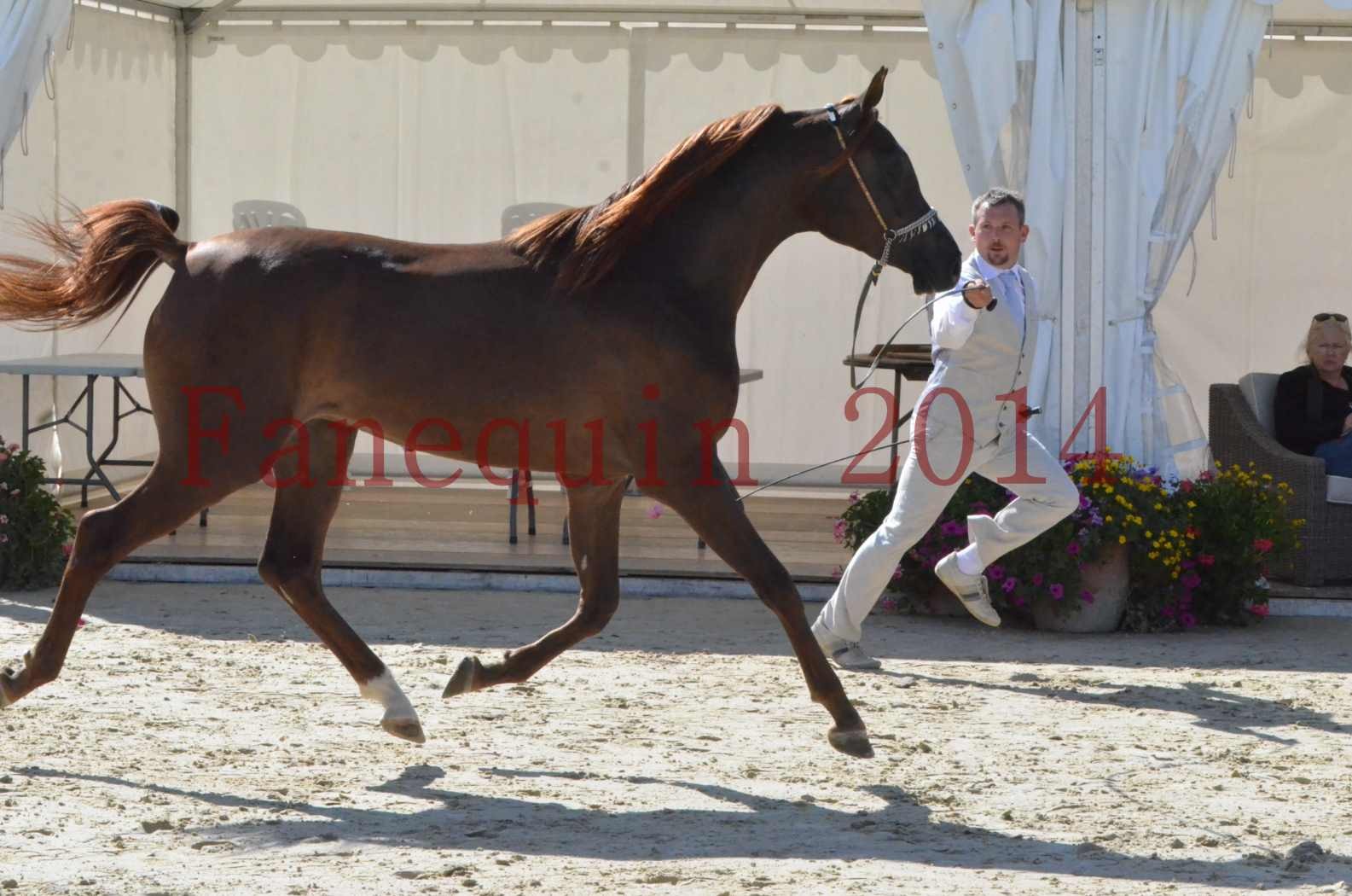 Championnat de FRANCE 2014 - Amateurs - LAMAL - 15