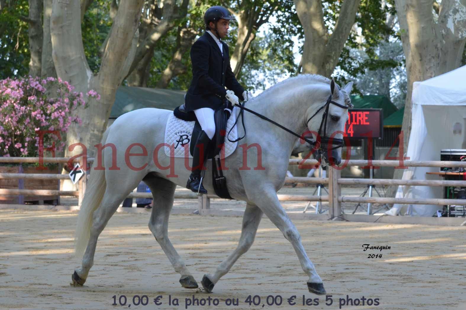 Championnat de FRANCE de PRE-présentation montés-02