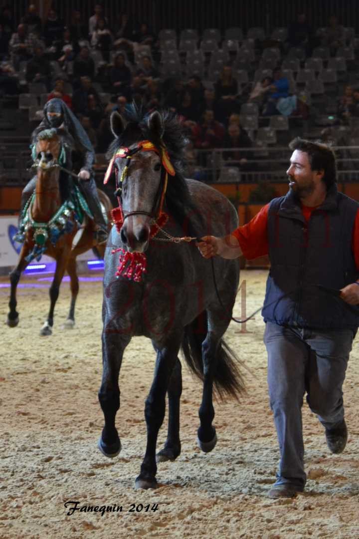 Show des races - Chevaux BARBE 15