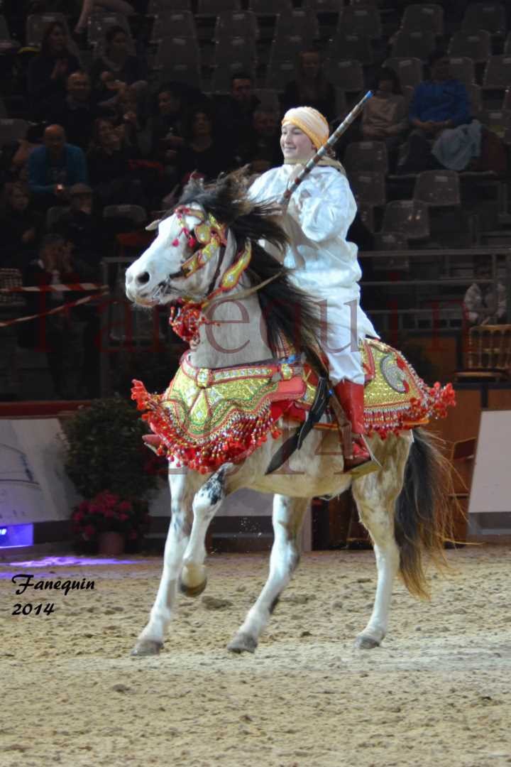 Show des races - Chevaux BARBE 03