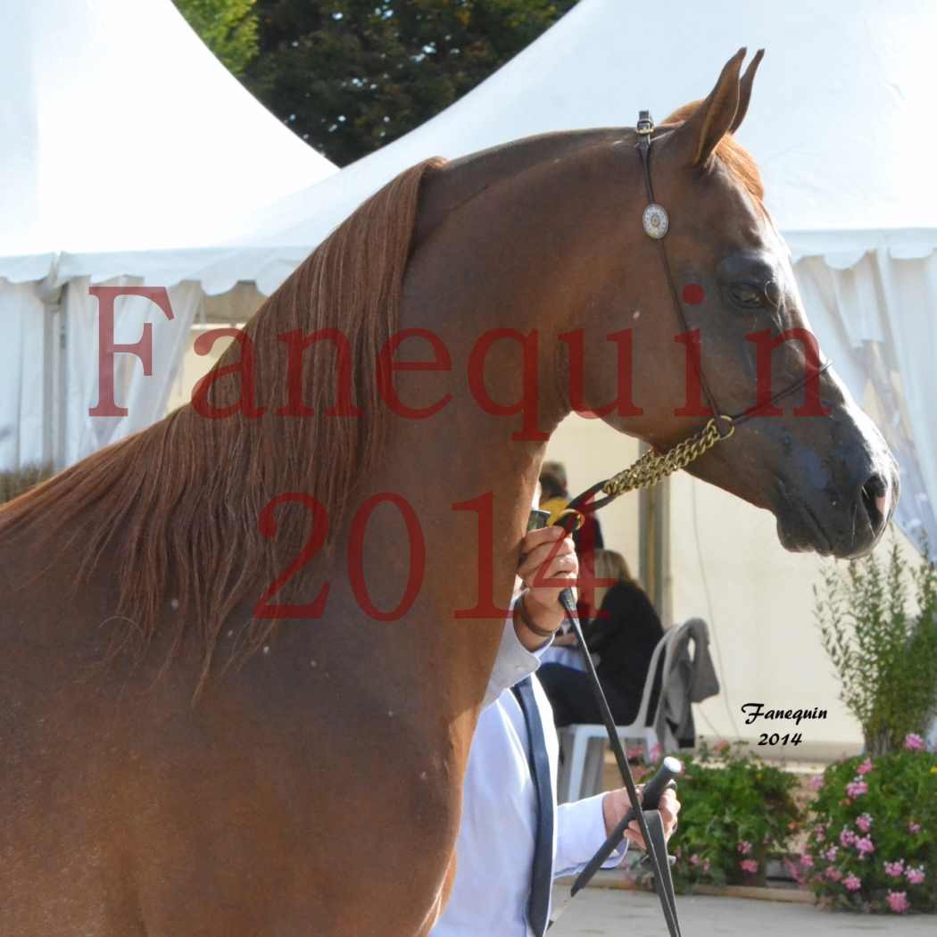 CHAMPIONNAT DE FRANCE 2014 A POMPADOUR - Notre Sélection - Portraits - AINHOA LE BASQUE - 1