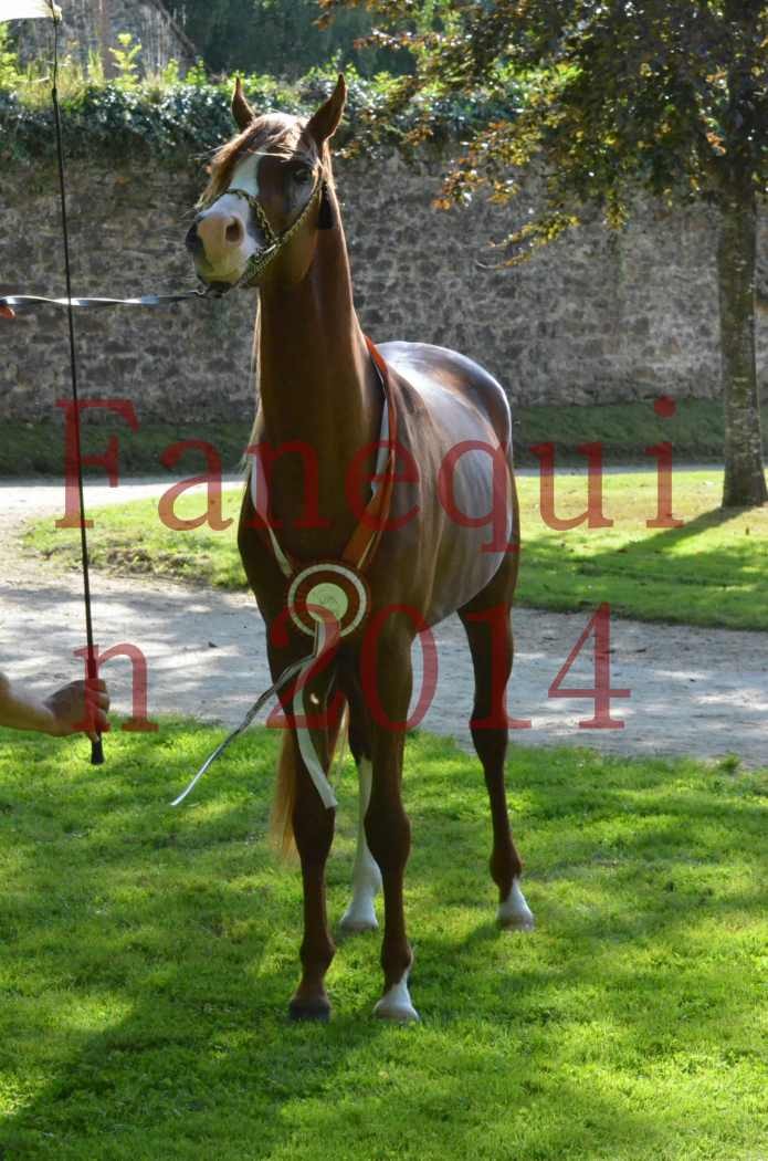 Championnat de FRANCE 2014 - Amateurs - SELECTO IBN SAMAWI - 188