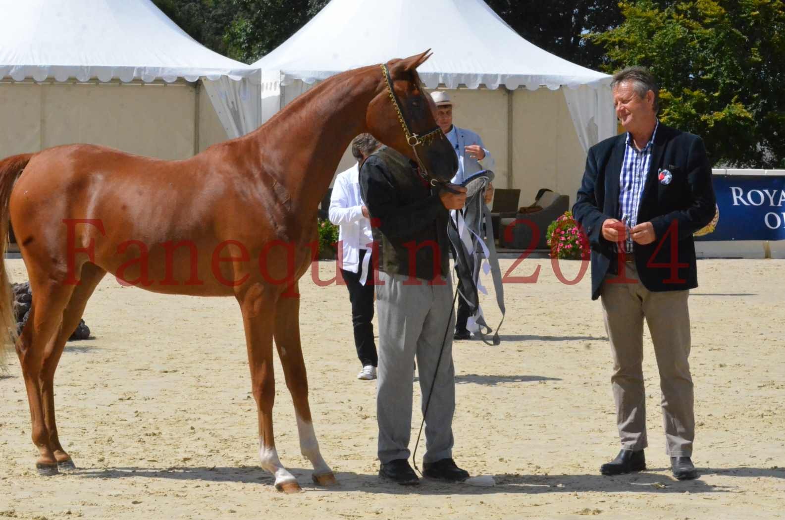 Championnat de FRANCE 2014 - Amateurs - SH CALLAS BINT ARMANI - 55