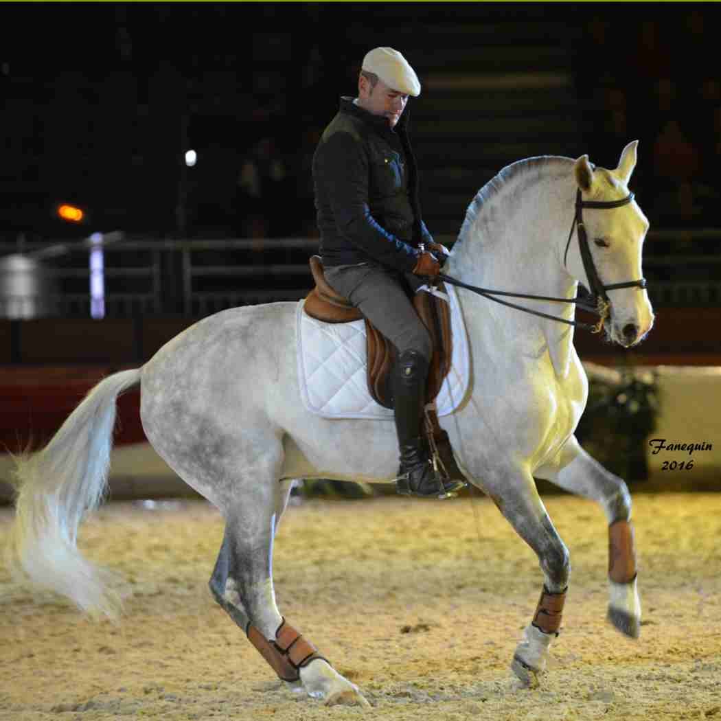 Cheval Passion 2016 - Présentation des LUSITANIENS - Ecurie de Max VENDRELL & Corinne BOUCHITTE - 39