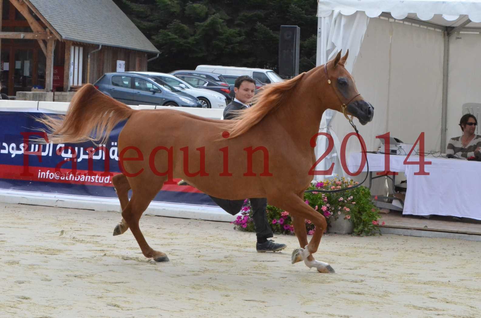 ﻿CHAMPIONNAT DE FRANCE 2014 A POMPADOUR - Sélection - LUTFINAH JA - 10