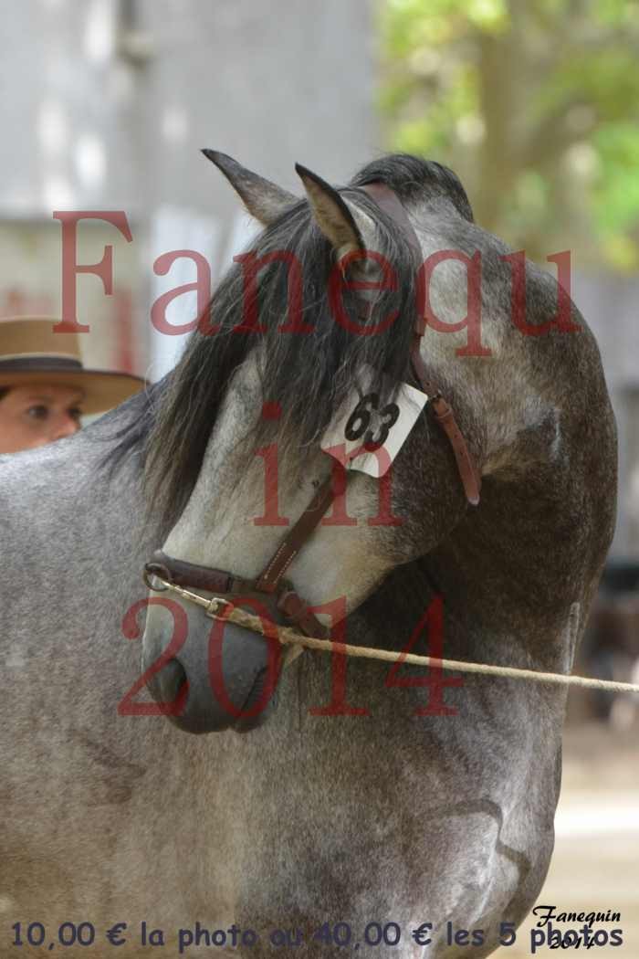 Championnat de FRANCE de PRE-PORTRAITS-10