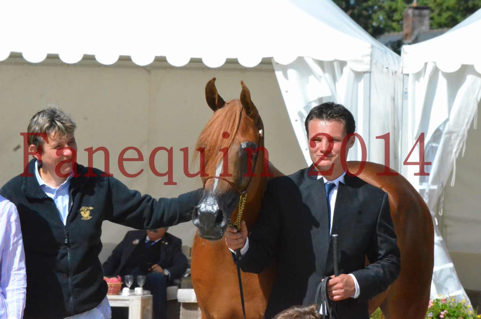 ﻿CHAMPIONNAT DE FRANCE 2014 A POMPADOUR - Sélection - KINSHASA JA - 80