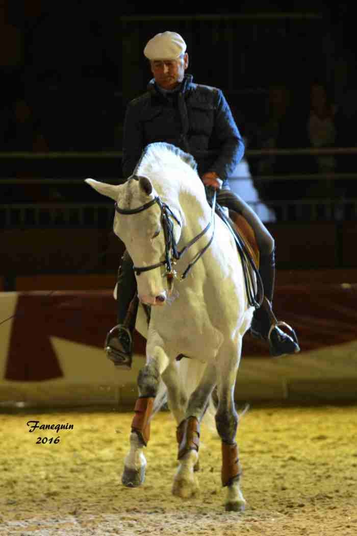 Cheval Passion 2016 - Présentation des LUSITANIENS - Ecurie de Max VENDRELL & Corinne BOUCHITTE - 25
