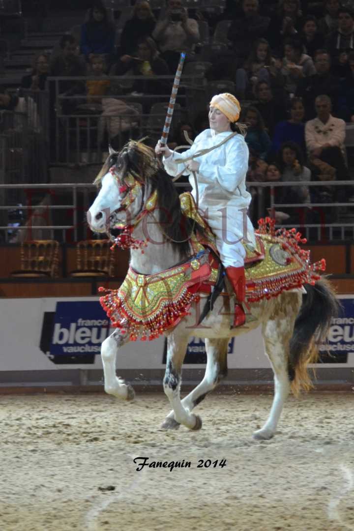 Show des races - Chevaux BARBE 02